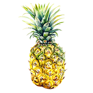 PIÑA